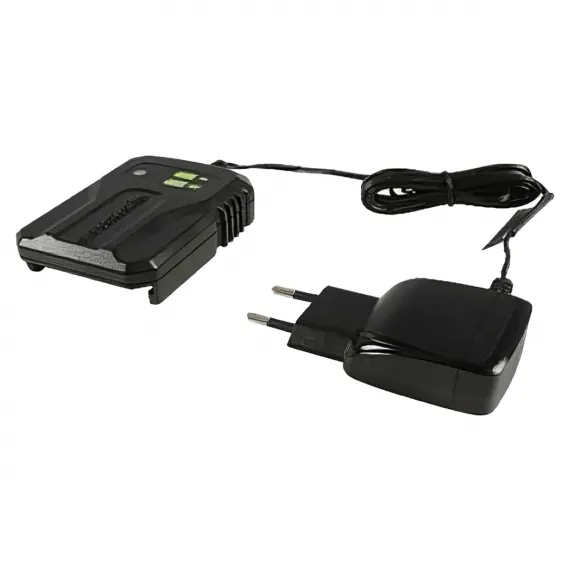Зарядное устройство Greenworks G40UCM2M 40V 2A